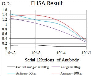 Mouse Monoclonal Antibody to C17ORF53