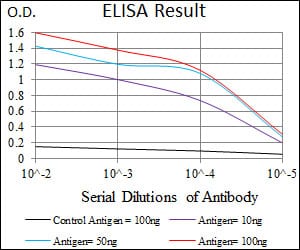 Mouse Monoclonal Antibody to C17ORF53