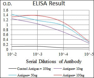 Mouse Monoclonal Antibody to C17ORF53