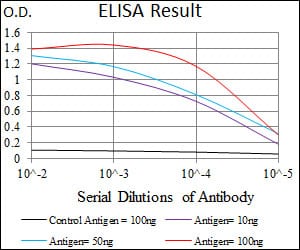 Mouse Monoclonal Antibody to C17ORF53