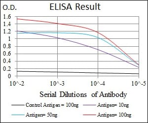 Mouse Monoclonal Antibody to C17ORF53