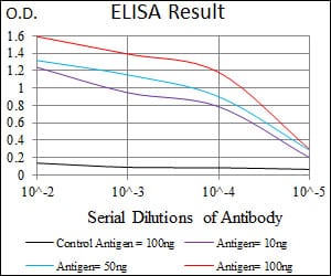 Mouse Monoclonal Antibody to PDE1B