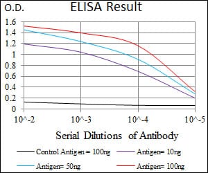 Mouse Monoclonal Antibody to PDE1B