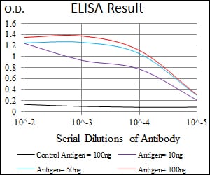 Mouse Monoclonal Antibody to PAX3