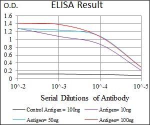 Mouse Monoclonal Antibody to MRPL42