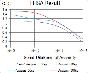 Mouse Monoclonal Antibody to MRPL42