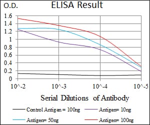 Mouse Monoclonal Antibody to P2RY13