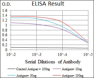Mouse Monoclonal Antibody to MAPK14