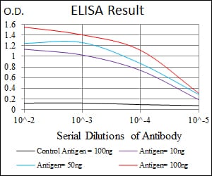 Mouse Monoclonal Antibody to CK5