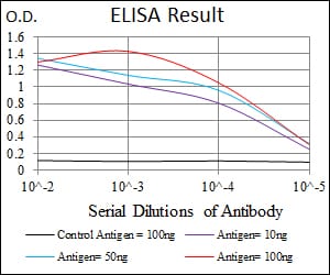 Mouse Monoclonal Antibody to SQSTM1