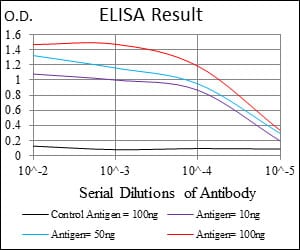Mouse Monoclonal Antibody to MCAM