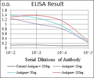 Mouse Monoclonal Antibody to FLT3