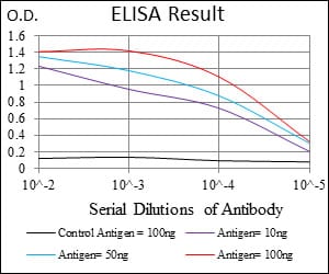 Mouse Monoclonal Antibody to DNM1L