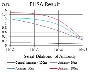 Mouse Monoclonal Antibody to DNMT1