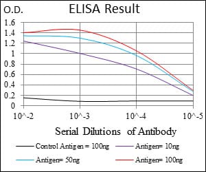 Mouse Monoclonal Antibody to CK5