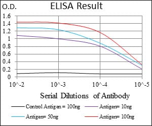 Mouse Monoclonal Antibody to DCN