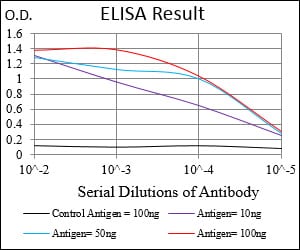 Mouse Monoclonal Antibody to ZEB1