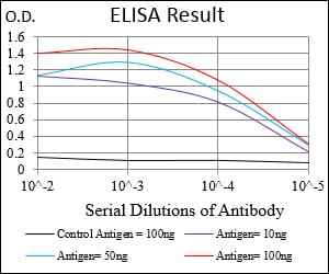 Mouse Monoclonal Antibody to ZEB1