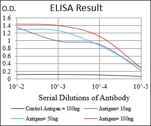 Mouse Monoclonal Antibody to SYCP3