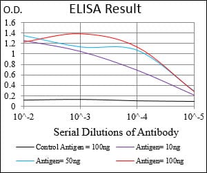 Mouse Monoclonal Antibody to Ring1