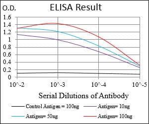 Mouse Monoclonal Antibody to DIS3L2