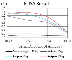 Mouse Monoclonal Antibody to MAPK14