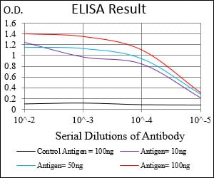 Mouse Monoclonal Antibody to DNM1L