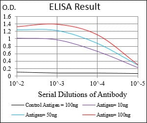 Mouse Monoclonal Antibody to PON1