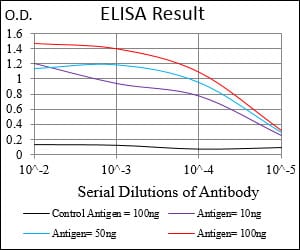 Mouse Monoclonal Antibody to CD10