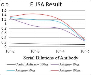 Mouse Monoclonal Antibody to PPP1R1B