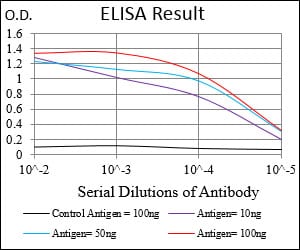 Mouse Monoclonal Antibody to RPTOR