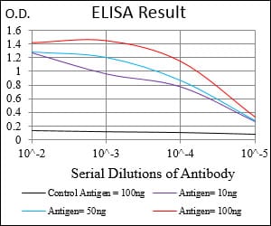Mouse Monoclonal Antibody to RB1