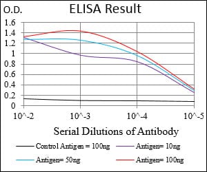 Mouse Monoclonal Antibody to ABCB1