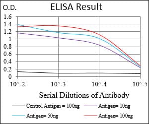 Mouse Monoclonal Antibody to SDC1