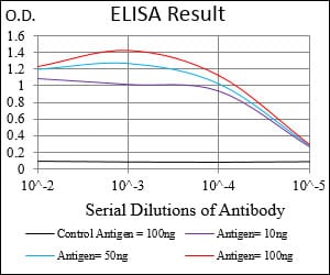 Mouse Monoclonal Antibody to GABBR2