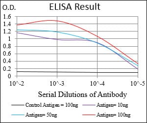 Mouse Monoclonal Antibody to GABBR2