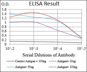 Mouse Monoclonal Antibody to EIF2A