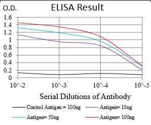 Mouse Monoclonal Antibody to TERF2