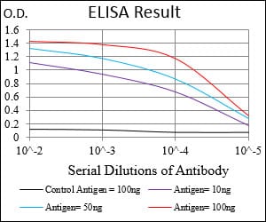 Mouse Monoclonal Antibody to NBN