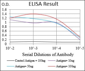 Mouse Monoclonal Antibody to NT5E