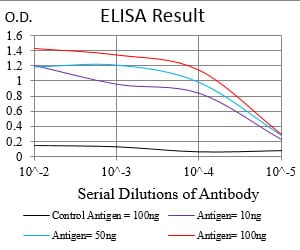 Mouse Monoclonal Antibody to NBN