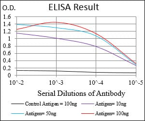 Mouse Monoclonal Antibody to NT5E