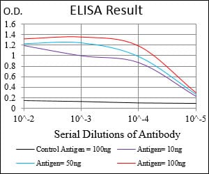 Mouse Monoclonal Antibody to CDKN2A