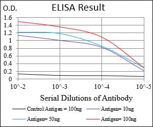 Mouse Monoclonal Antibody to CAMK2G