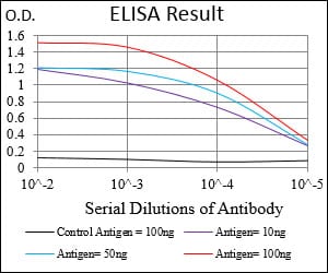 Mouse Monoclonal Antibody to CAMK2G