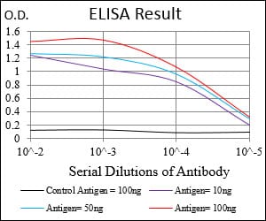 Mouse Monoclonal Antibody to MSTN