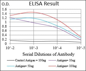 Mouse Monoclonal Antibody to HOXB4