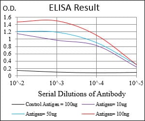 Mouse Monoclonal Antibody to DDIT3