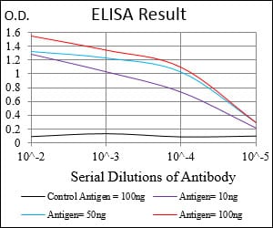 Mouse Monoclonal Antibody to DAPK3