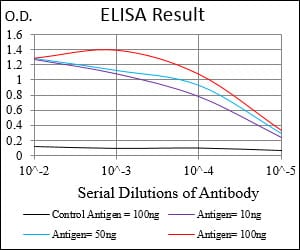 Mouse Monoclonal Antibody to BAD